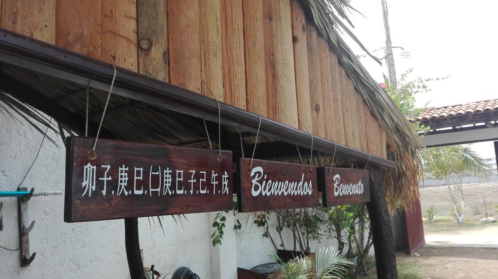 Posada Zaira Del Mar Coyuca Eksteriør billede