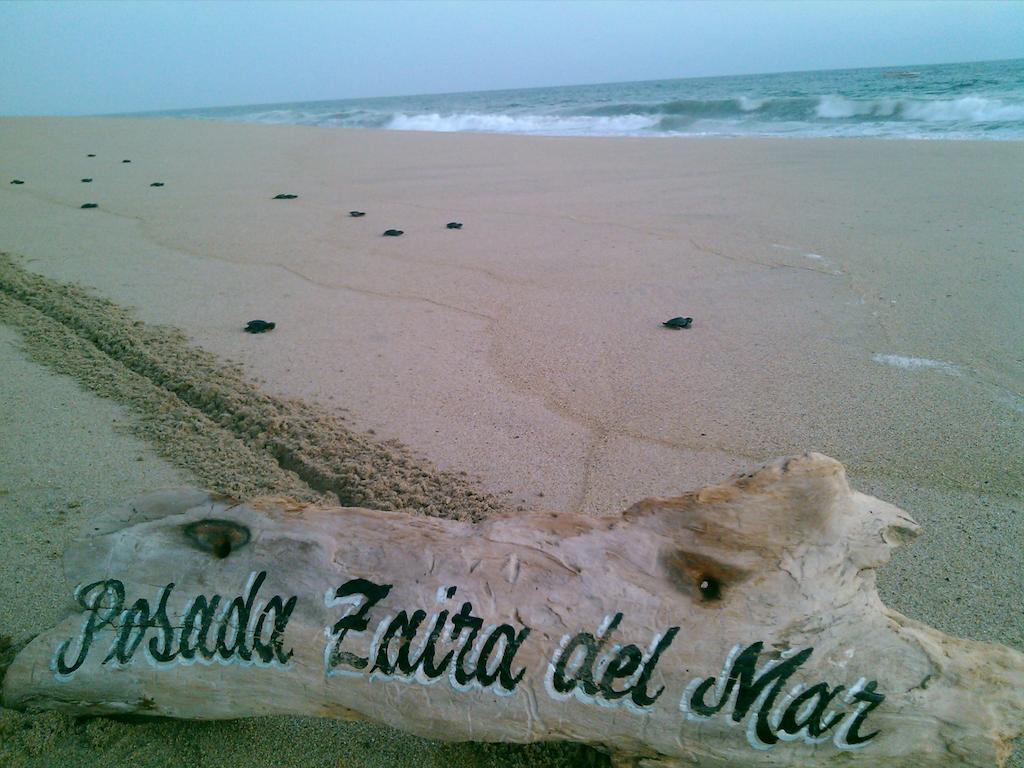 Posada Zaira Del Mar Coyuca Eksteriør billede